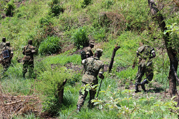 Ugandan army attacks ADF bases in DR Congo – Congo Indépendant